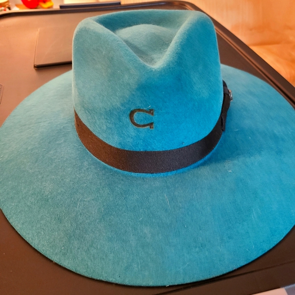 Charlie Horse felt hat